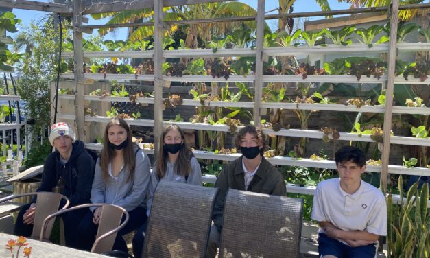 Upper School students learn about sustainable urban agriculture